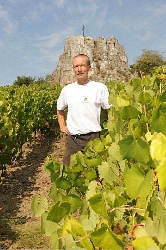 Domaine viticole des Pierres Meslières