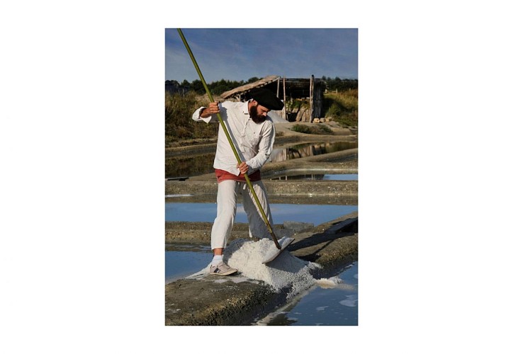 MARAIS SALANT PREDEVIE