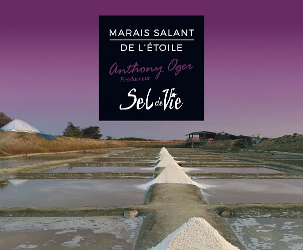 MARAIS SALANT DE L'ÉTOILE - SEL DE VIE