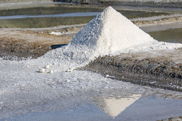 MARAIS SALANTS DE LA VIE