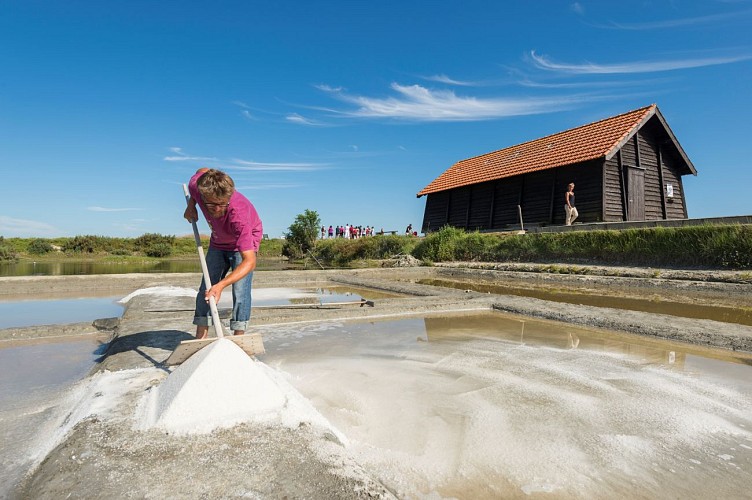 MARAIS SALANTS DE LA VIE