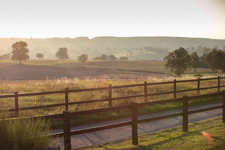 Domaine-Sur-Valot vue sur pré avec 2 étangs