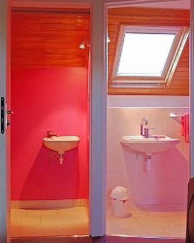 epilobe-salle de bain