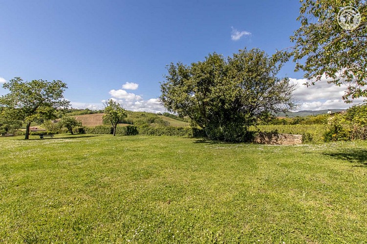 Au coeur du vignoble