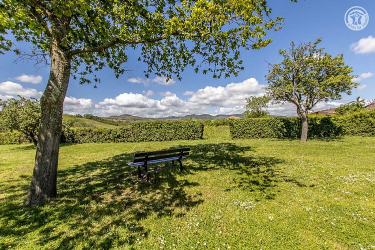 Au coeur du vignoble