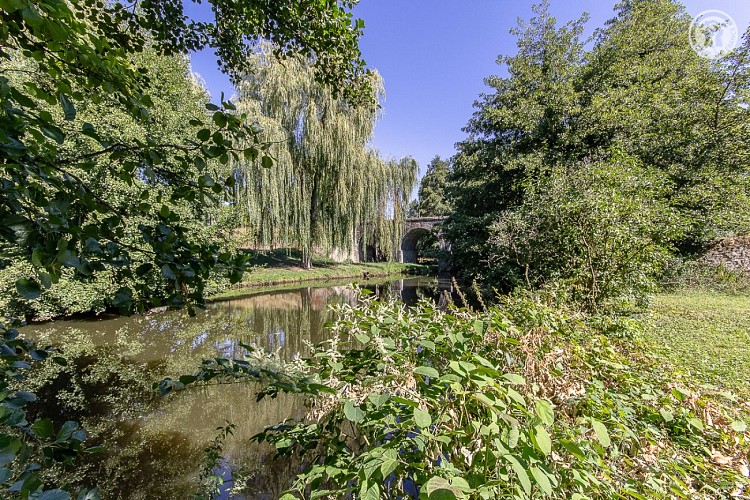 Le Clos des Cygnes