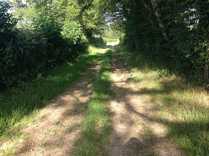 Ferme du tilleul 71- chemin sur route du Virot