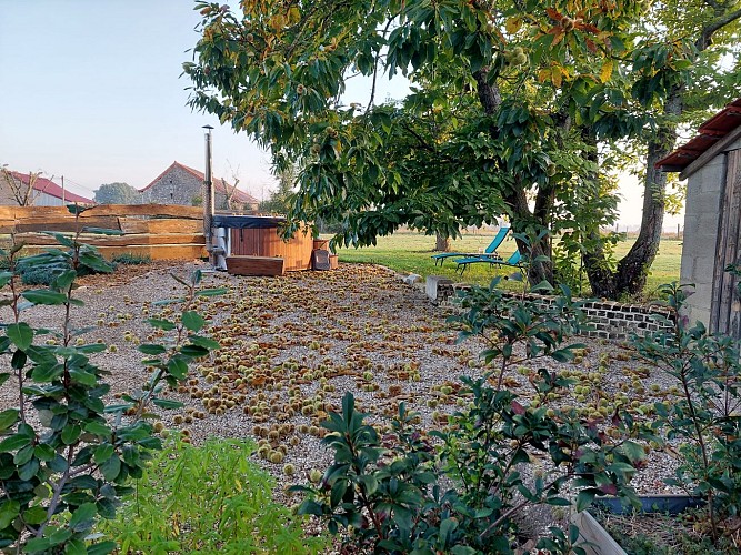 Bain nordique en automne