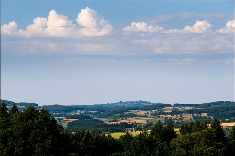 Vue