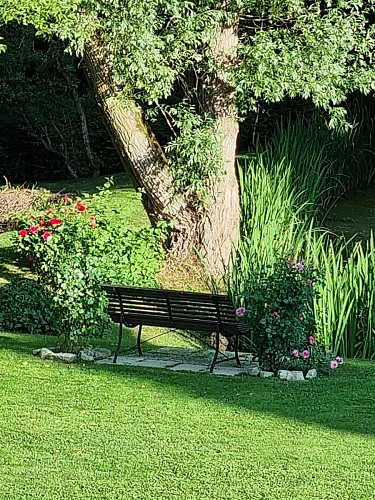 banc vers la mare 0723 red (002)