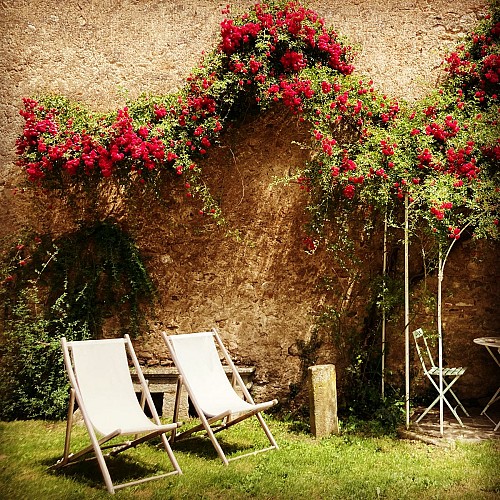 Le cocand - Autun
