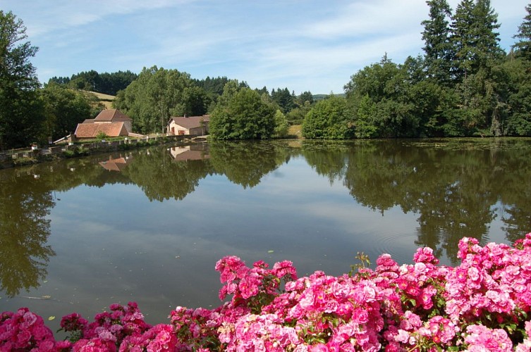 vue-sur-le-lac