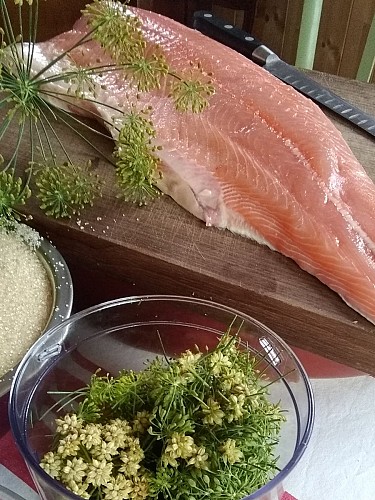 Gravlax (2)