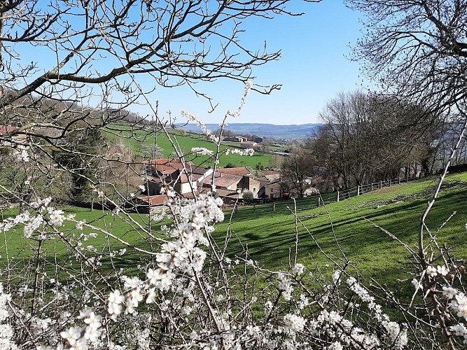 CH Près du Lavoir Jalogny_chemin