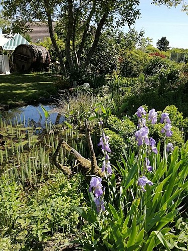 Tout_un_étage_au_vert_étang