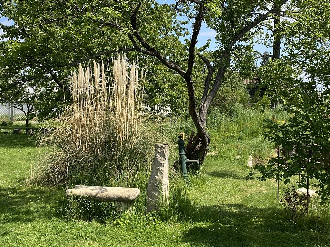 Jardin arboré