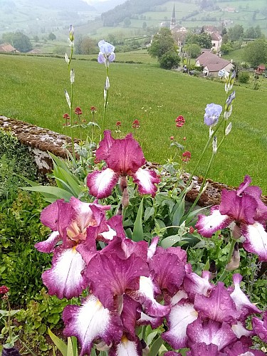 Saint-Racho - vue du jardin