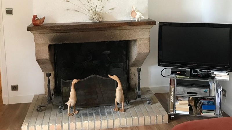 Photo de la cheminée eavec son coin télé