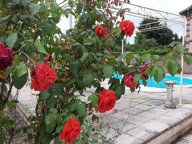 Le Puits Darcy_piscine