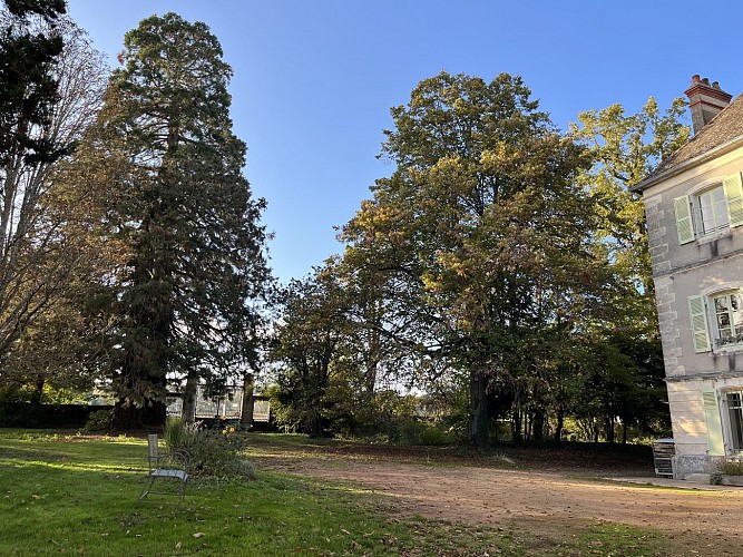 Arbres centenaires