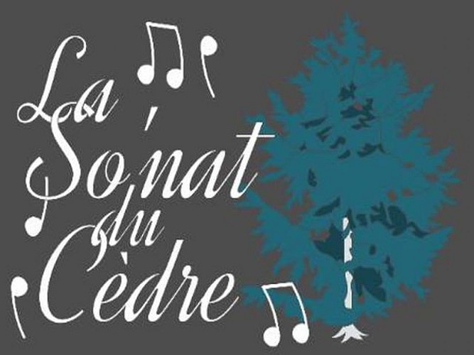 La So'Nat du cedre  Logo - Chambre d hote naturiste Bourgogne