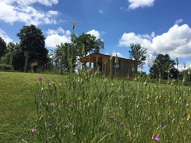 Tiny House