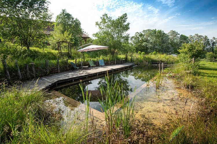 Ô Saveur de l'Instant