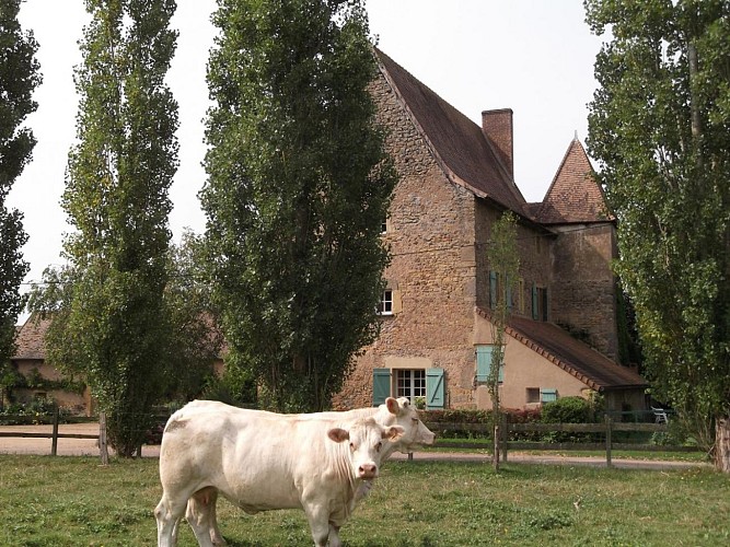 Gîte de Sermaize