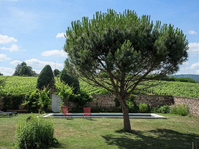 Le Paradis de Marie vue sur les vignes