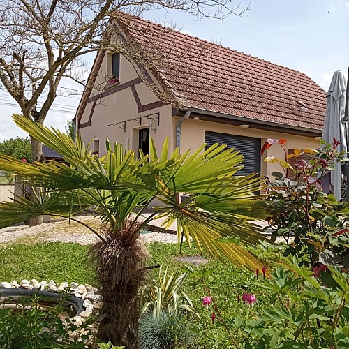 L’Albizia