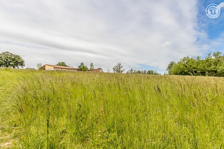 la Cabane de l'Etang