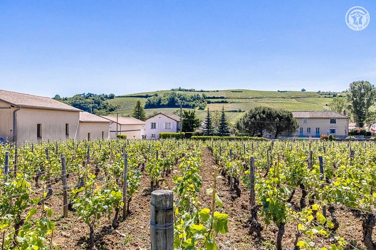 La Vigneraie