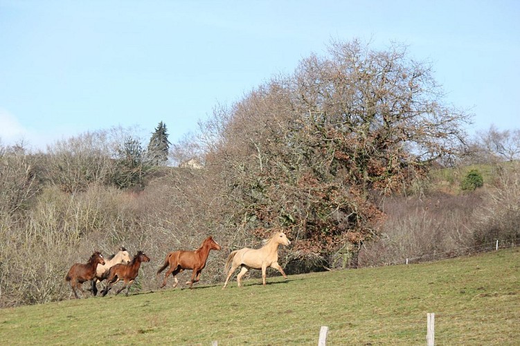 Domaine de Pondole