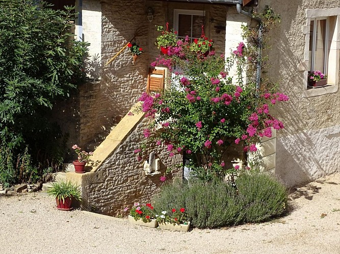 Le Figuier