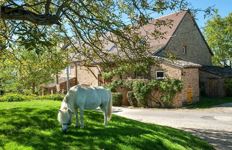 Le Petit Gîte