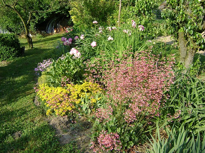 Le jardin au printemps