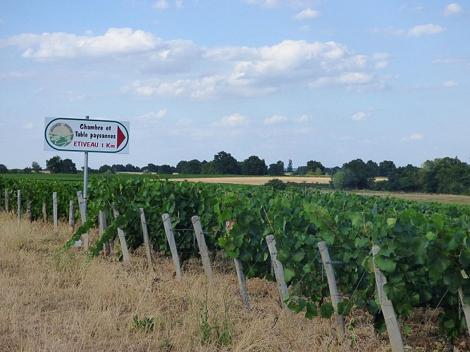 Les Vignes Derrière