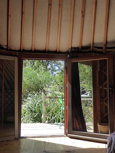 Vue de la yourte, nature verdoyante...