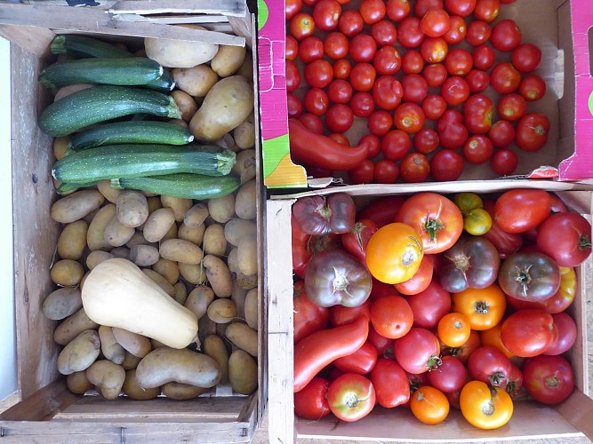 Vente de nos produits de la ferme