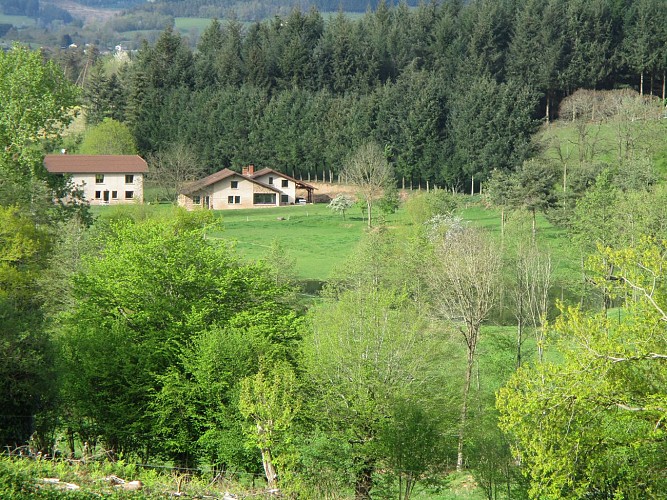 Vue d'ensemble