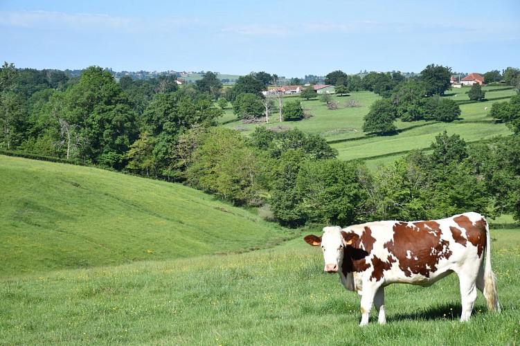 Paysage autour de la maison