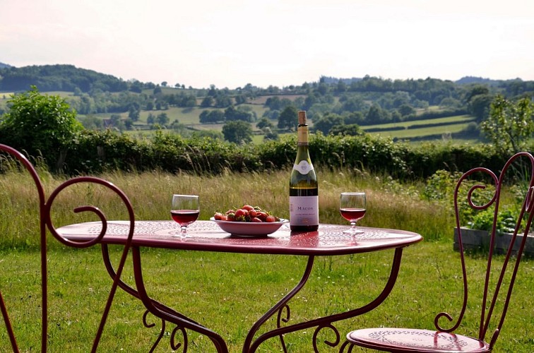 La vue depuis le terrain