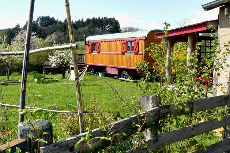 La roulotte et la cuisine d'été