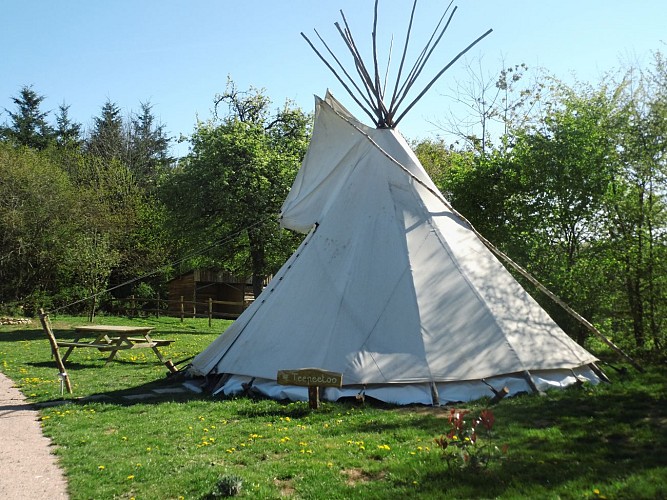 Tipi