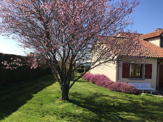 Jardin Gîte Belle-Vue