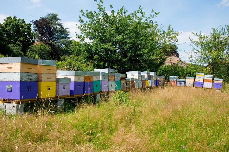 Le Logis d'Azé, les ruches au fond du jardin