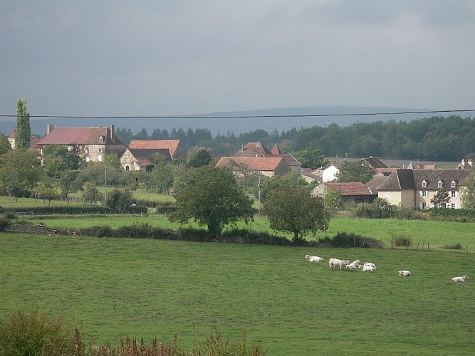 IMGP2287