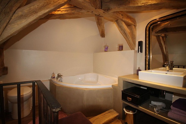 Le Pigeonnier de la Tour