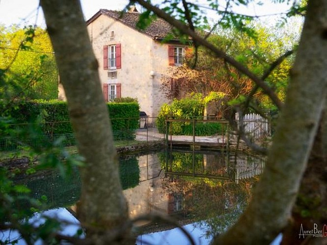 Moulin
