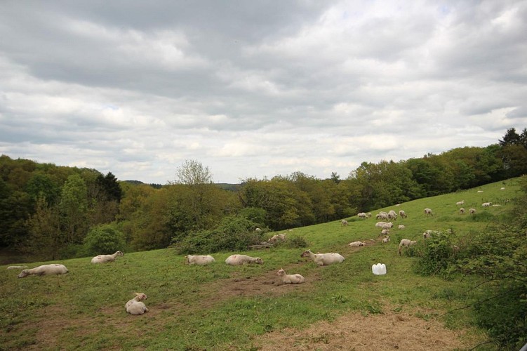 Le Refuge de Valouze